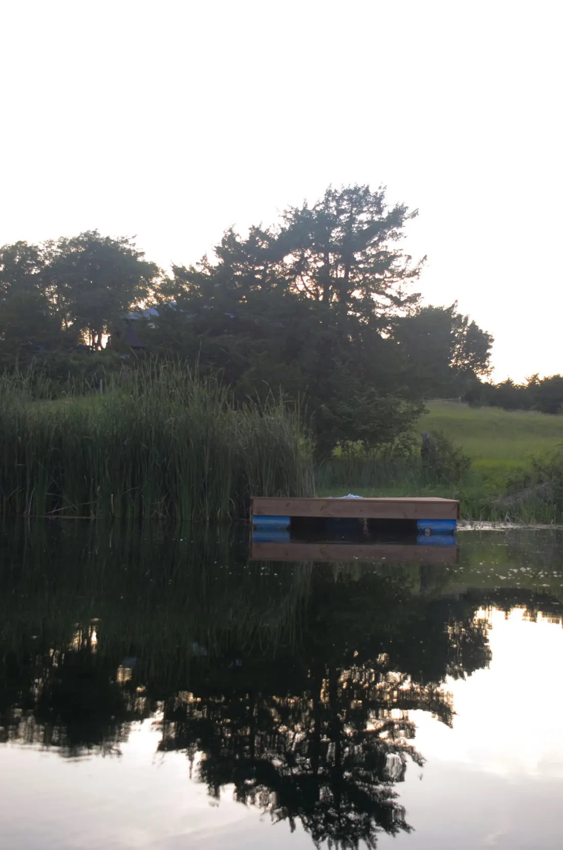 Floating dock mirrored in the still surface of a farm pond